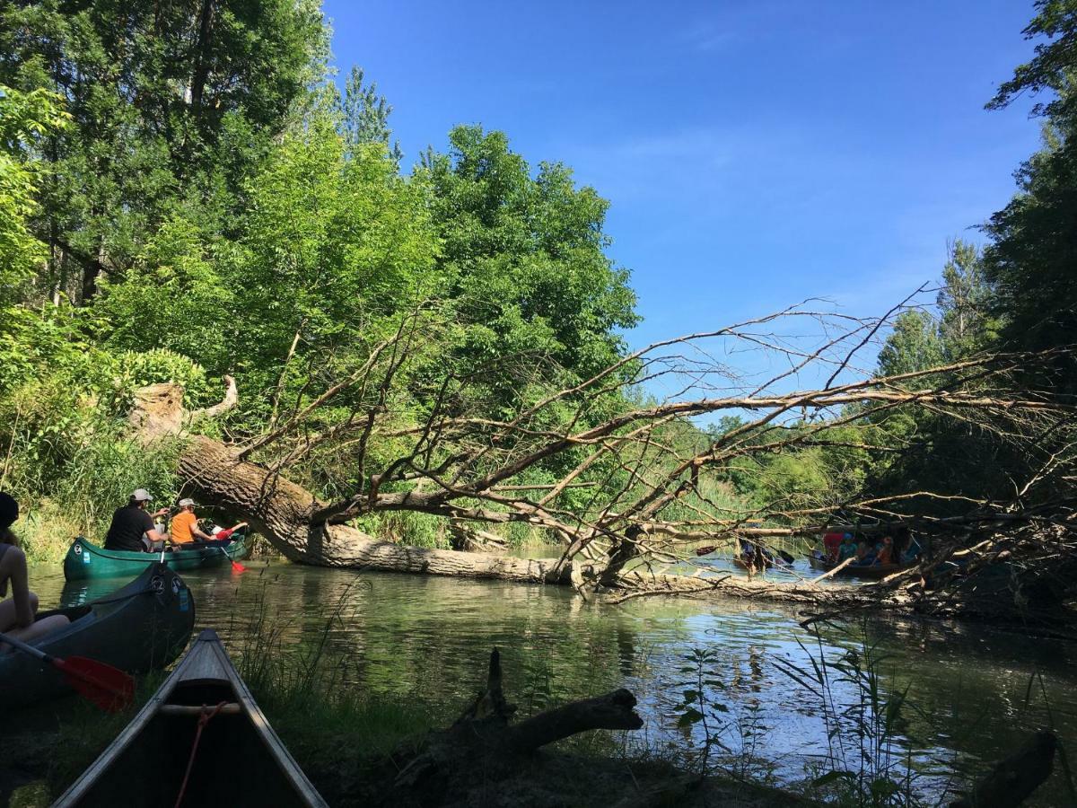 Donaupark Camping Tulln 图尔恩 外观 照片